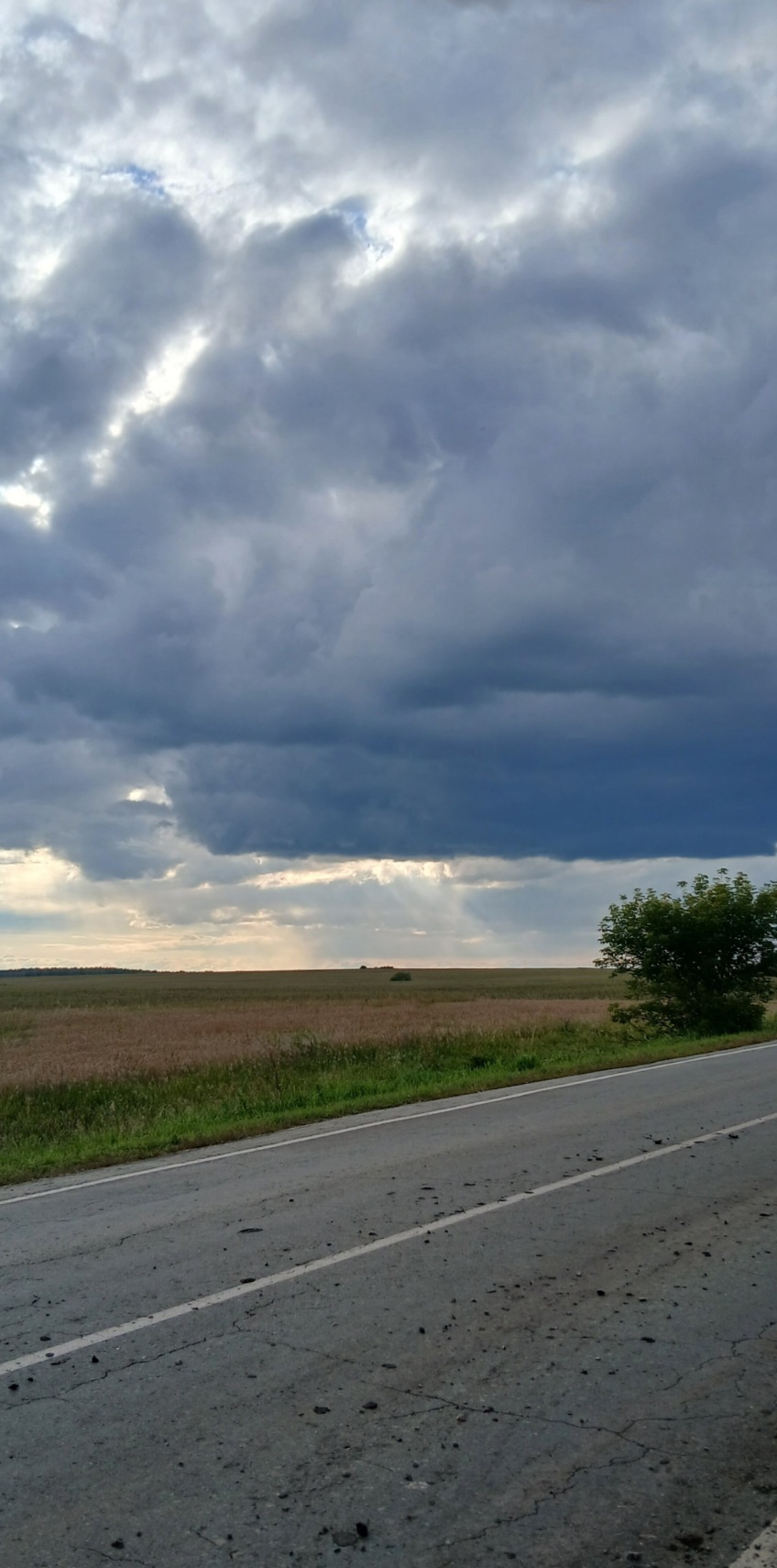 20260815_174909(1).jpg