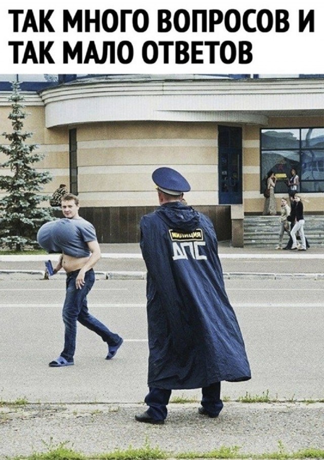 21190279.jpg
