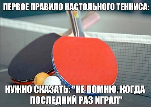 21190283.jpg