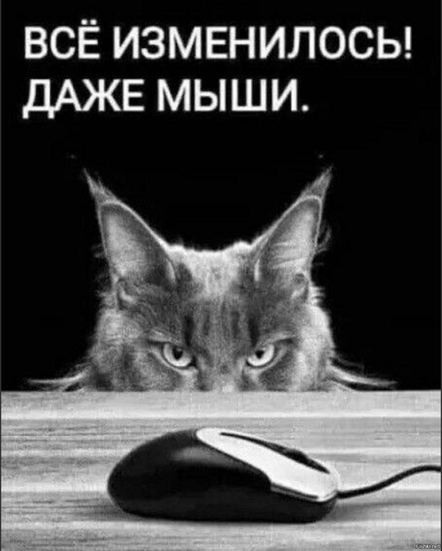 662aae254d1938192940efb32bf247b2.png