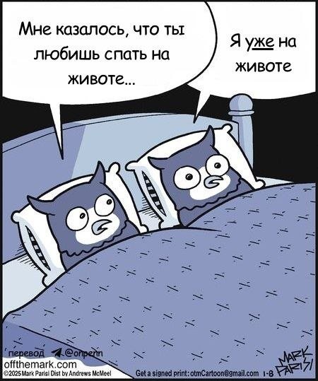 21190447.jpg