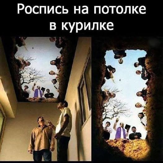 21203354.jpg