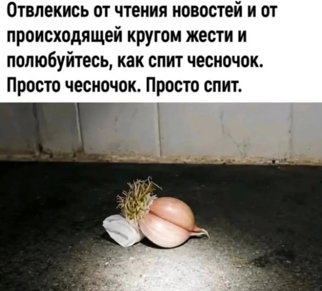21190336.jpg