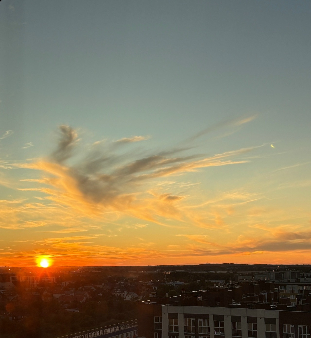 11zon_cropped.jpeg