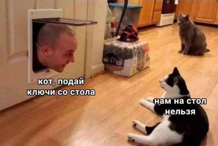 41040388.jpg