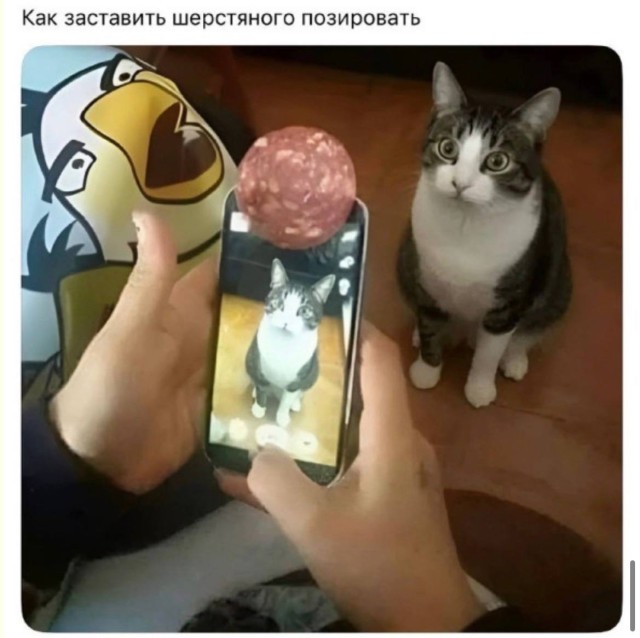 65210863.jpg