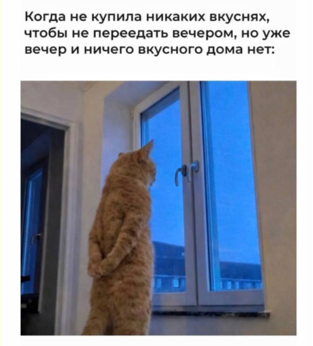 57545700.jpg