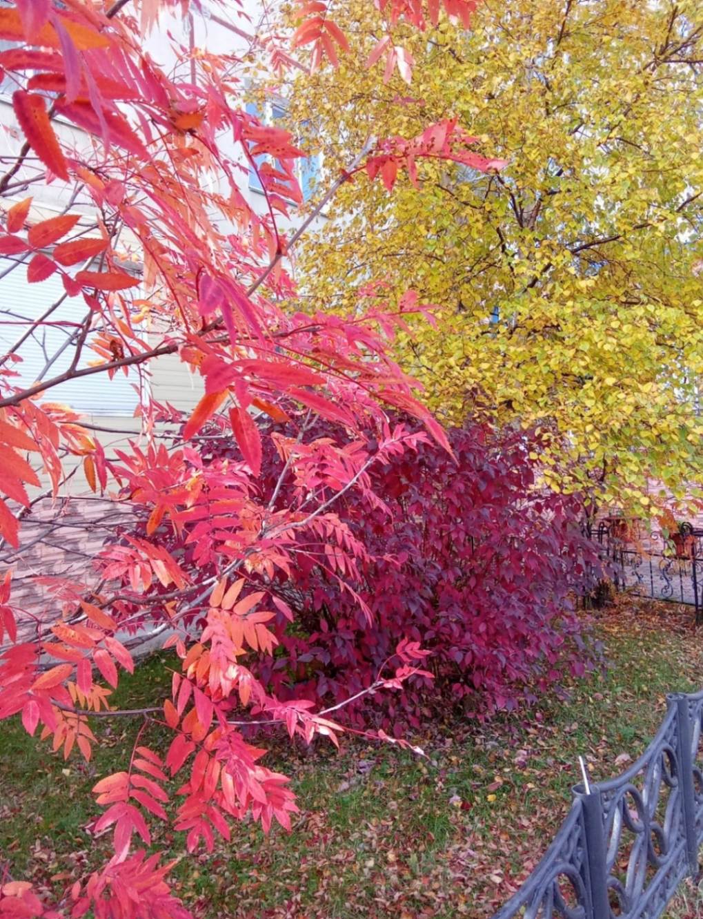 11zon_cropped (4) (1).jpeg