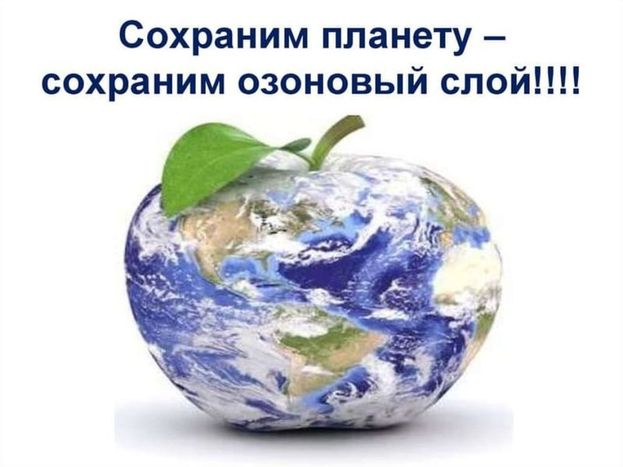 4244332_900.jpg