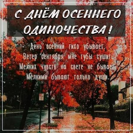 images (6).jpeg