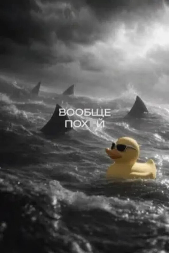 21290073.jpg