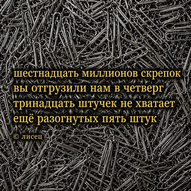 21293168.jpg