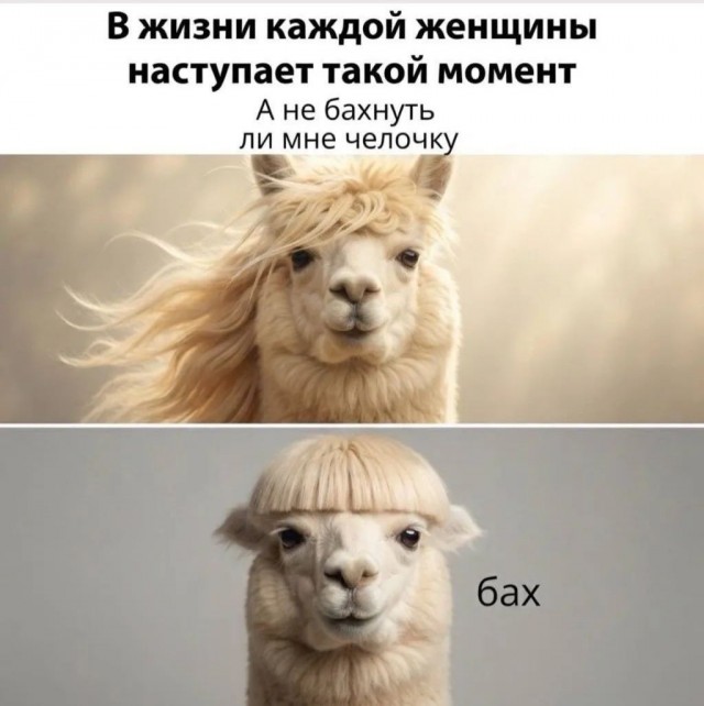 21290258.jpg