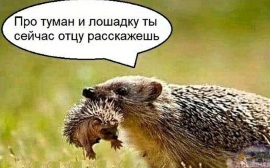 gcuyCaYDsi6lKfBQQ1Rlcf73AZoBpw-He8rsqyfxs--BjEx58vB5QB4F9YgHj5VbrtVY24DJcckrUru2lGl2UChd.jpg