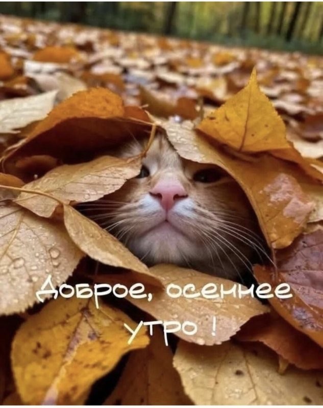 6324bda175f833b3856f84108cd5a08c.jpg