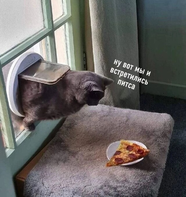 11zon_cropped (4).jpeg
