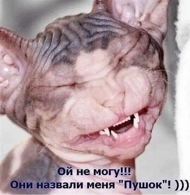 21208848.jpg