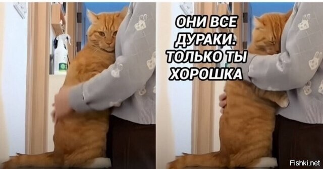 40427ac42febab7e838bded4e189e91b.jpg