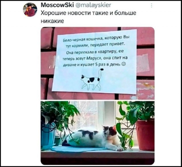 21201765.jpg
