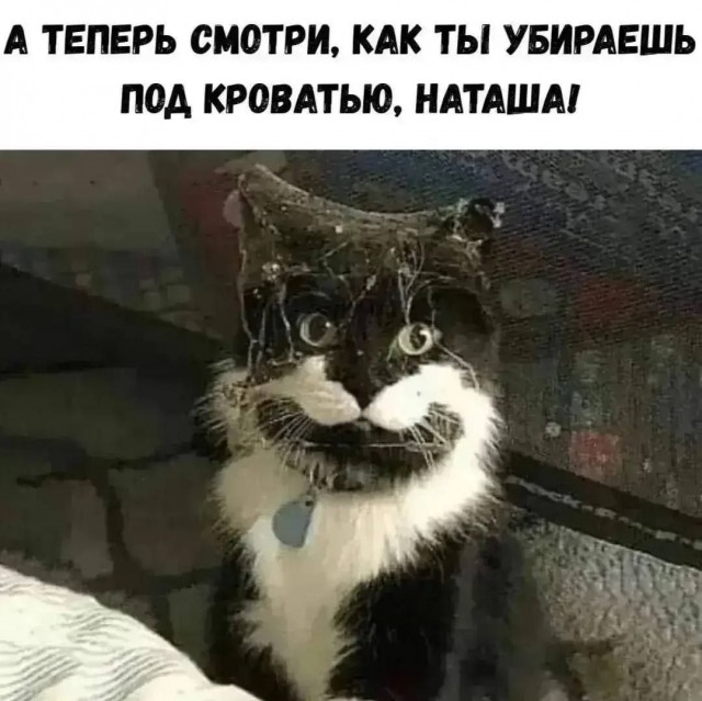 21207555.jpg