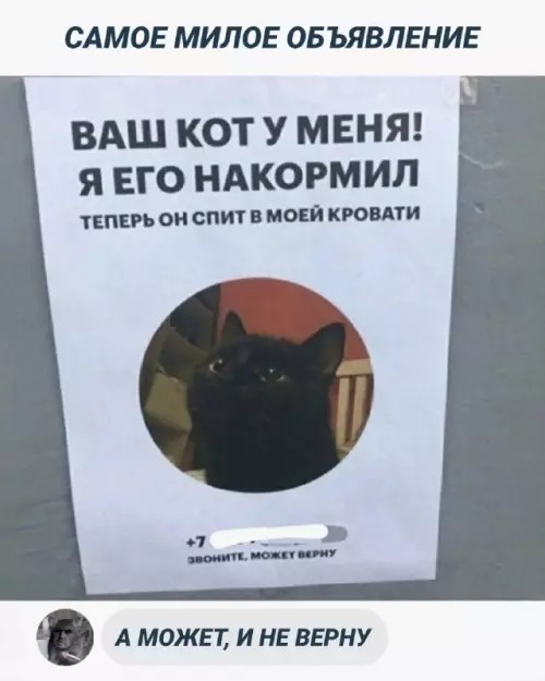 21236781.jpg