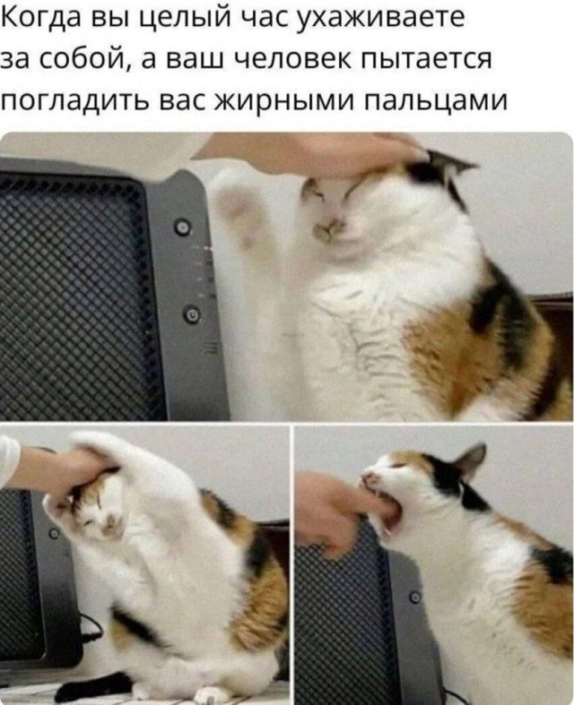 21236776.jpg
