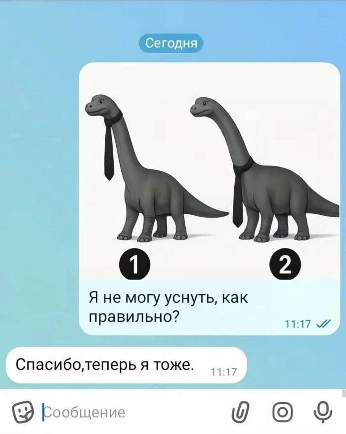 1791376803_14.jpg