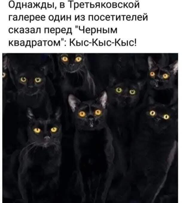 21228992.jpg