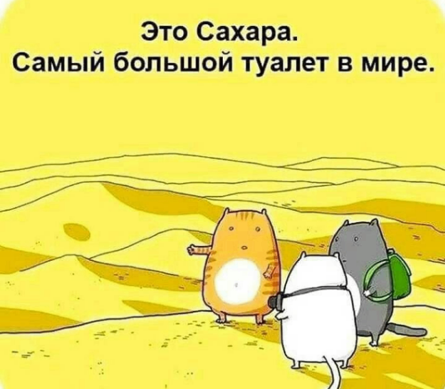 11zon_cropped (3) (1).png
