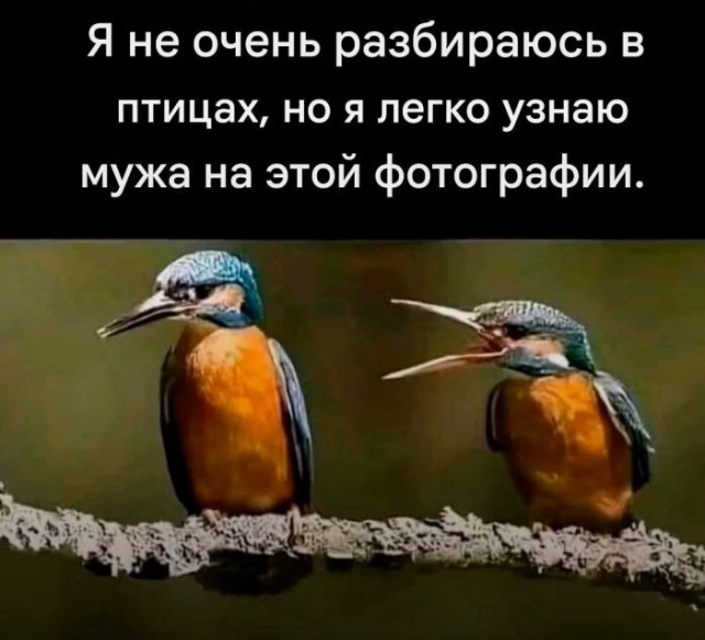 21314237.jpg