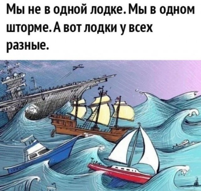 21314322.jpg