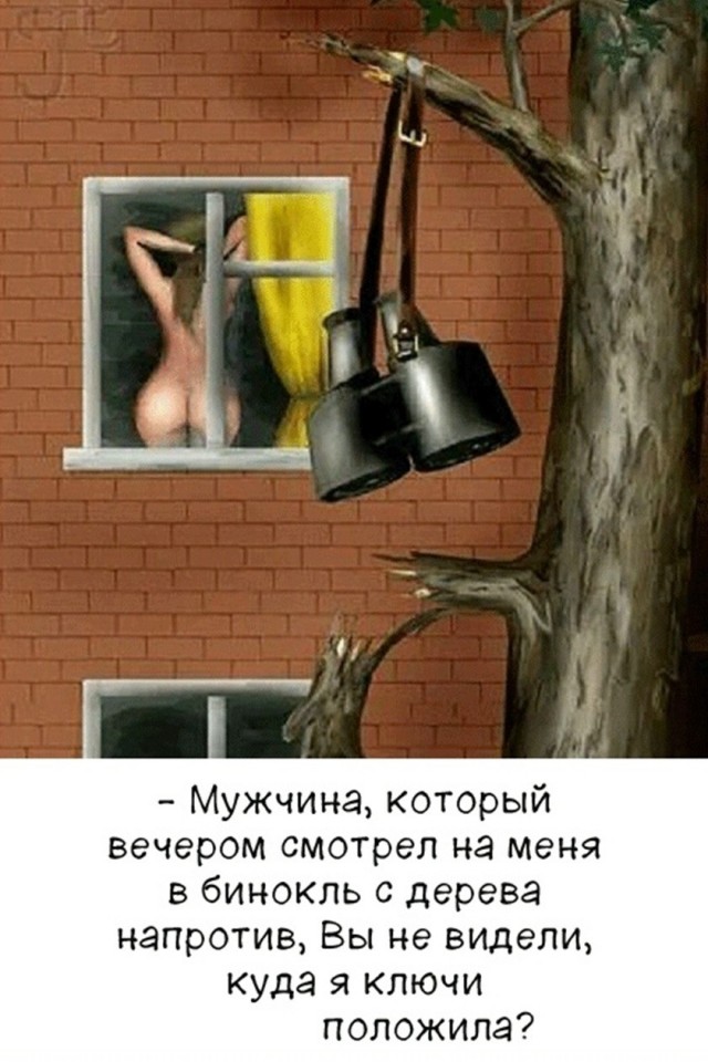 21321764.jpg