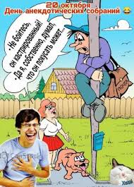 images.jpeg