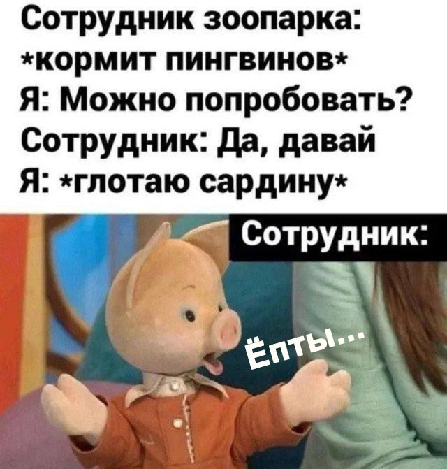 21344569.jpg