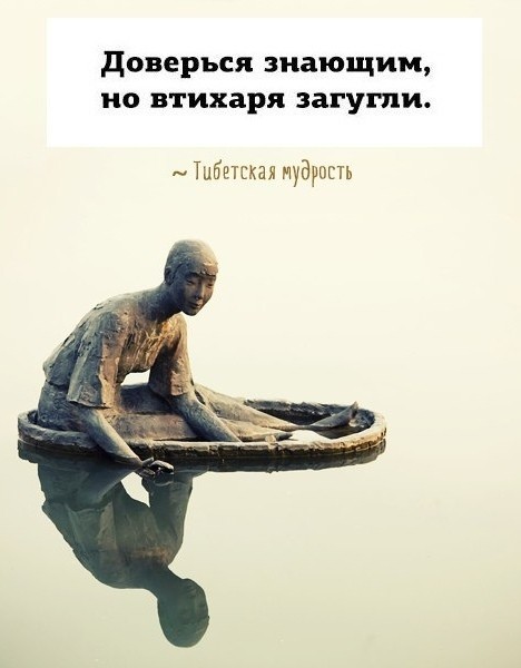 21344597.jpg